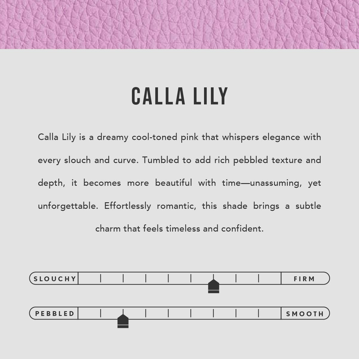 Calla Lily | infographic