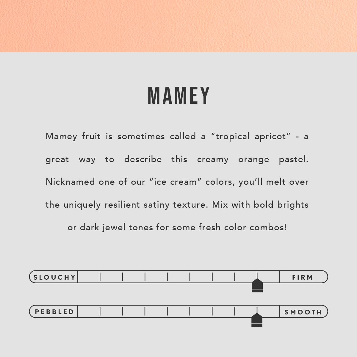 Mamey | infographic