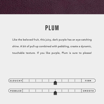 All color: Plum | infographic