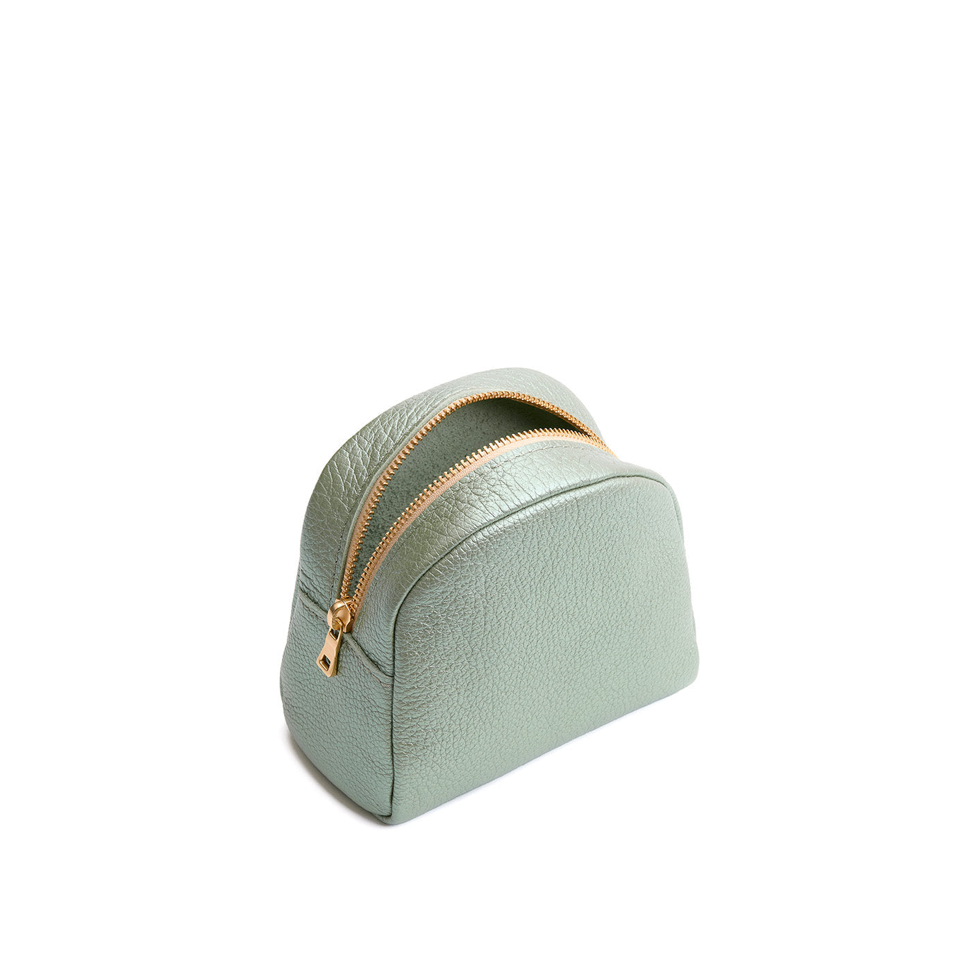 Beetle | Curved top leather pouch with zipper opening, flat base, and three metal tree emblems in front